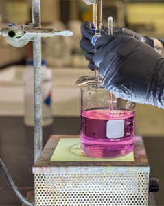 Heavy Metals Testing