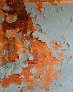 Professional Lead Testing