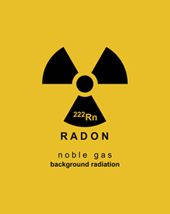 Radon Testing Services